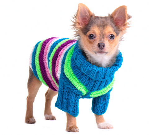 Crochet Dog Sweater